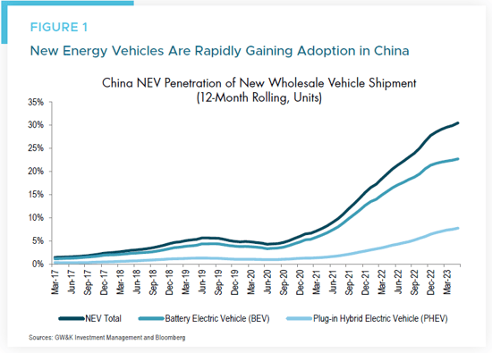 NEV Rapidly Gaining Adoption in China